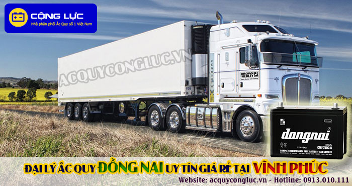 đại lý ắc quy đồng nai tại vĩnh phúc