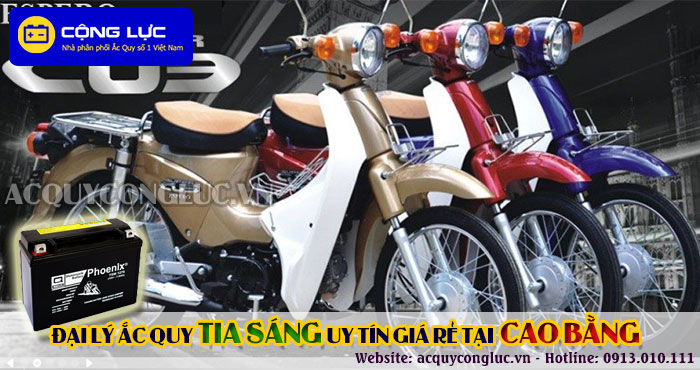 đại lý ắc quy tia sáng tại cao bằng