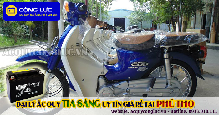 đại lý ắc quy tia sáng tại phú thọ