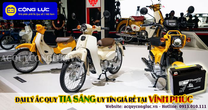 đại lý ắc quy tia sáng tại vĩnh phúc