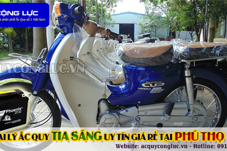 Đại Lý Ắc Quy Tia Sáng Chính Hãng Giá Rẻ Tại Phú Thọ