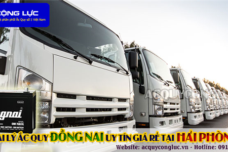 Đại Lý Ắc Quy Đồng Nai Chính Hãng Giá Rẻ Tại Hải Phòng