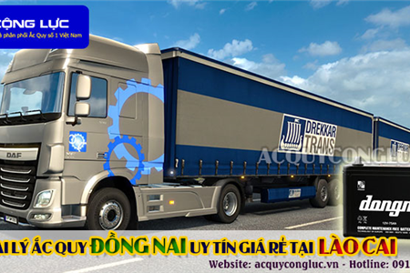 Đại Lý Ắc Quy Đồng Nai Chính Hãng Giá Rẻ Tại Lào Cai